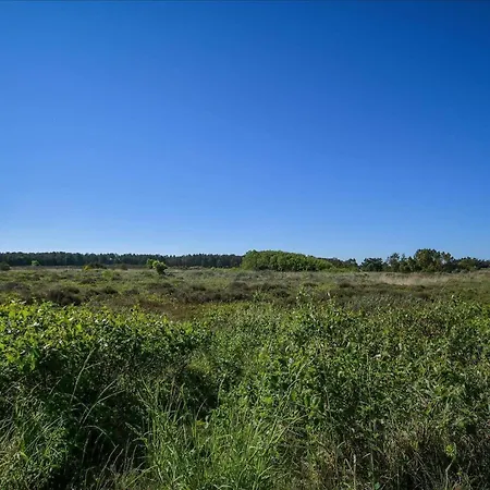 0030-romo-blabaervej-6 *